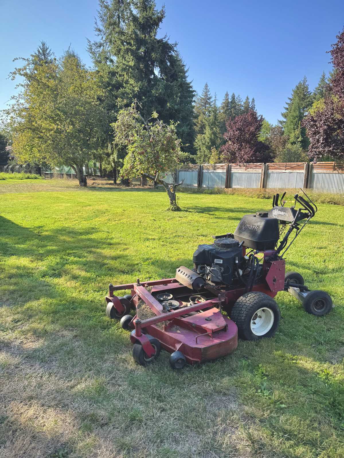 A red walk behind mower standing on a big flat lawn with orchard trees and a fence line behind it