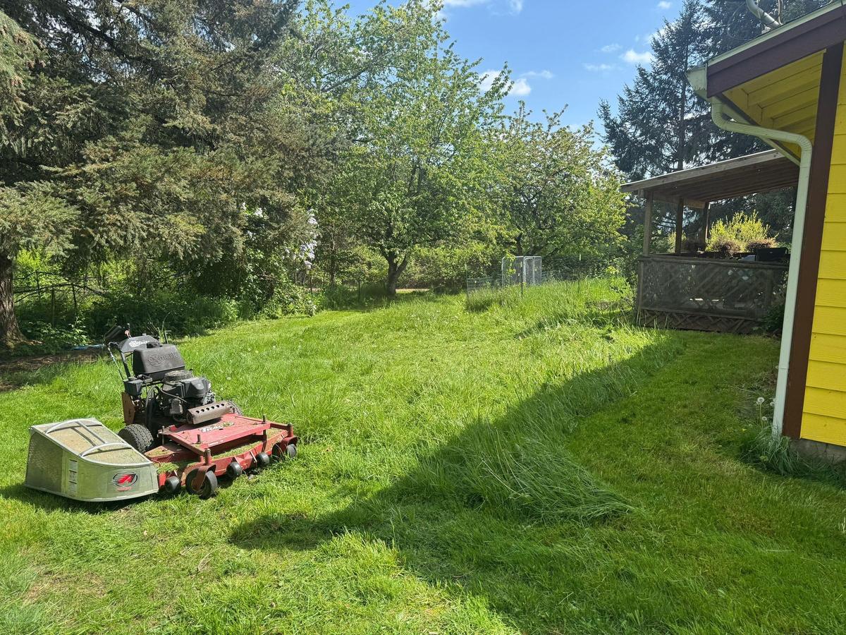 A red stand on mower parked halfway up a long grassy slope with half the run cut and half still long