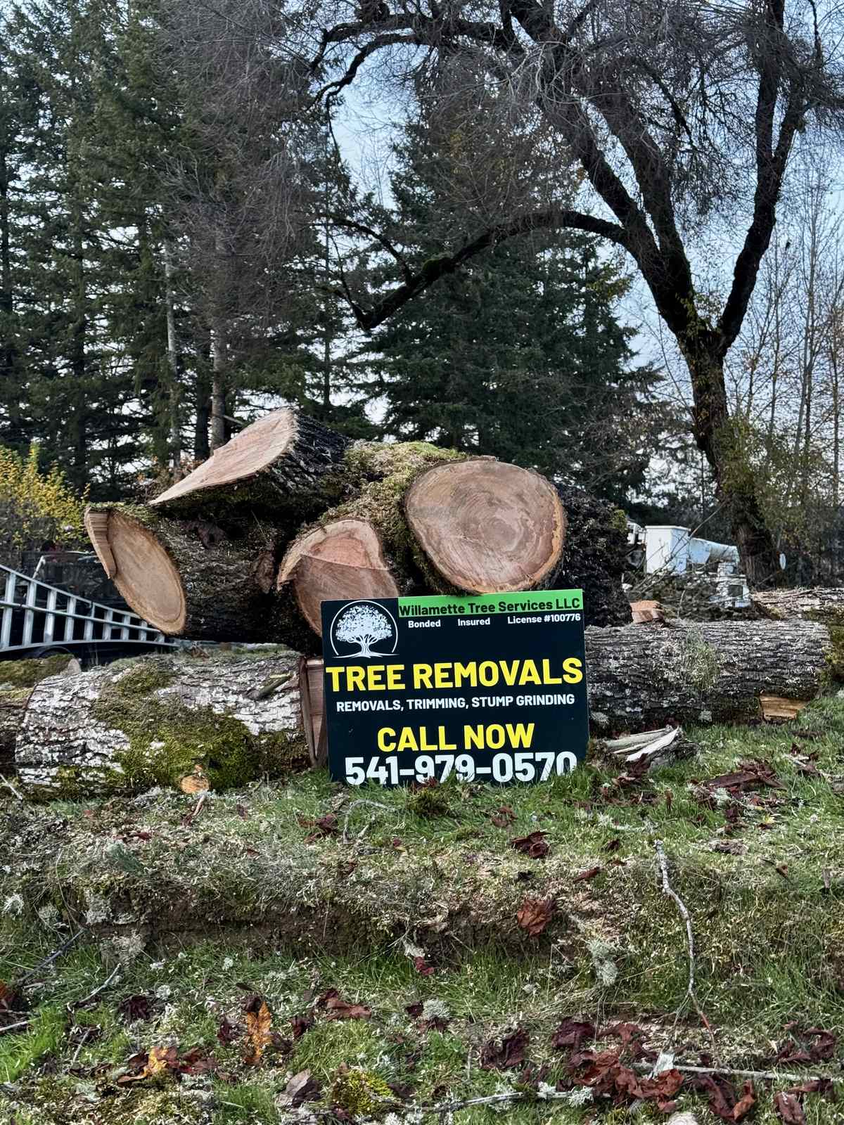 Big log rounds stacked on a mossy bank with our tree removals yard sign standing in front of them